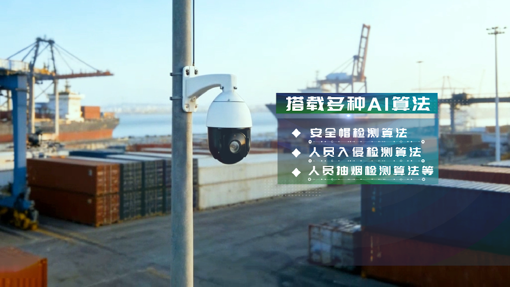港口监测乱报警？AI球机一招解决！